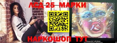 стаф Сланцы