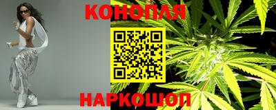 стаф Сланцы