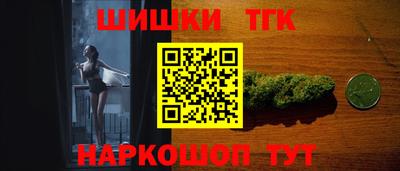 стаф Сланцы