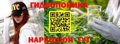 молекула духа Среднеуральск